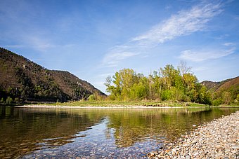 Donau bei Aggsbach (c) Lachlan Blair Donau bei Aggsbach (c) Lachlan Blair