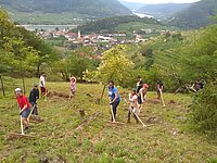 Die Freiwilligen beim Welterbecamp 2018 © Welterbegemeinden Wachau/Hannes Seehofer